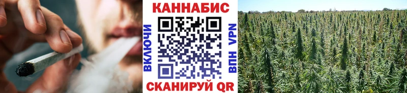 Где продают наркотики Узловая Кодеин  Бошки Шишки  APVP  Гашиш  АМФЕТАМИН  МЕФ  COCAIN 
