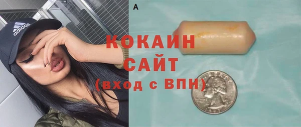 хмурый Арсеньев