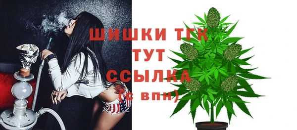 твердый Армянск