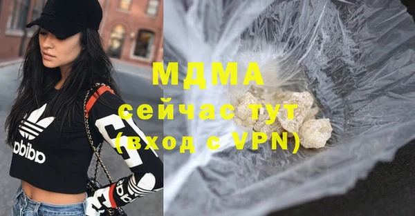 хмурый Арсеньев