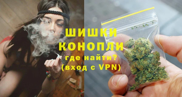 хмурый Арсеньев